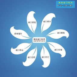 合肥食品進(jìn)口報(bào)關(guān)流程及時(shí)間解析 上海港口報(bào)關(guān)代理與國內(nèi)貿(mào)易代理服務(wù)